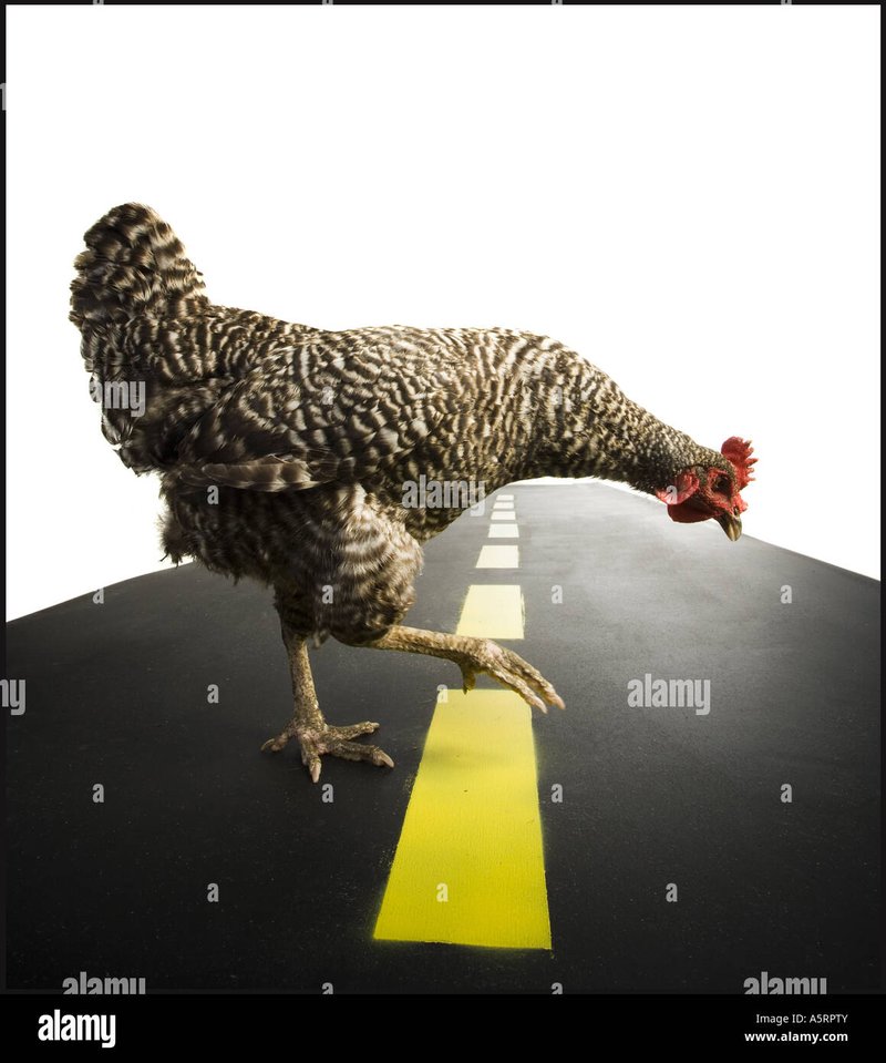 Chicken road gokkast - De Geheimen Ontdekt van het Populaire Spel Chicken Road in Nederland